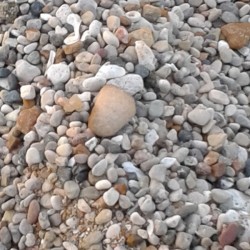 Beach Sand Rocks